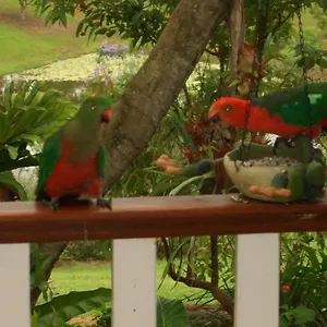 https://amamoor-homestead-bb-and-country-cottages.queenslandhotels.net